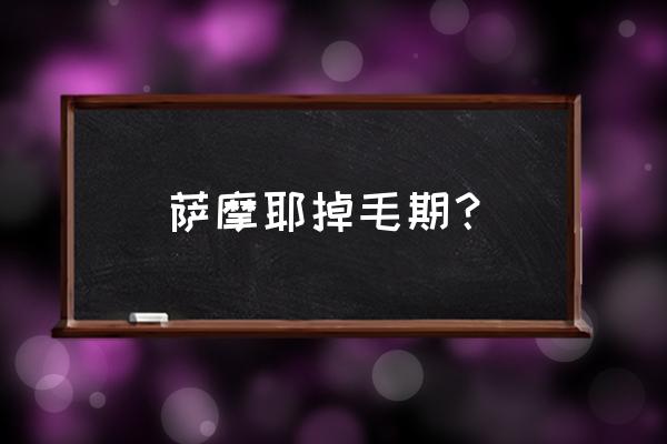 几个月萨摩耶换毛 萨摩耶掉毛期？