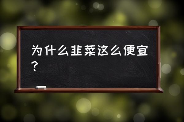 安顺蔬菜韮菜批发价每斤多少 为什么韭菜这么便宜？