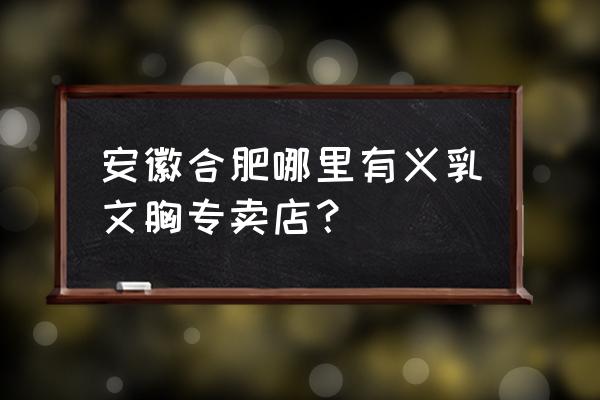 合肥文胸批发市场在哪 安徽合肥哪里有义乳文胸专卖店？