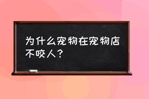 狗狗为什么不咬宠物店的人 为什么宠物在宠物店不咬人？