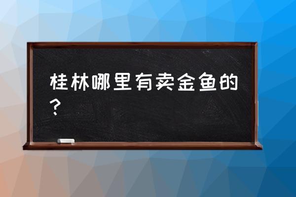 桂林市鱼批发市场在哪里 桂林哪里有卖金鱼的？