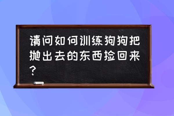 怎么训练小狗咬回抛出去的东西 请问如何训练狗狗把抛出去的东西捡回来？