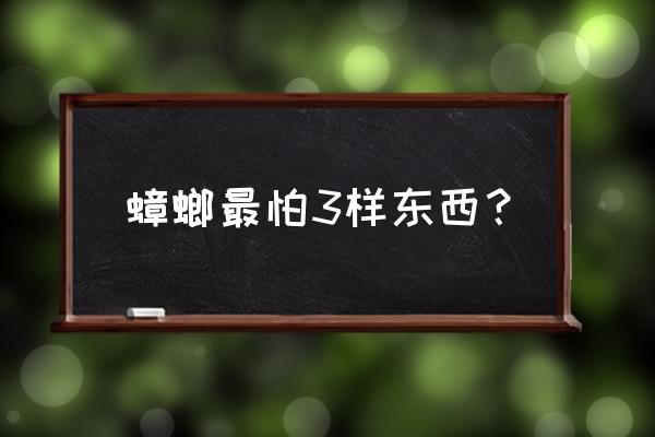 养蜥蜴是不是就不会有蟑螂了 蟑螂最怕3样东西？