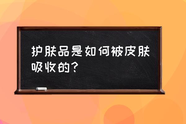 护肤品真的吸收了才有用吗 护肤品是如何被皮肤吸收的？