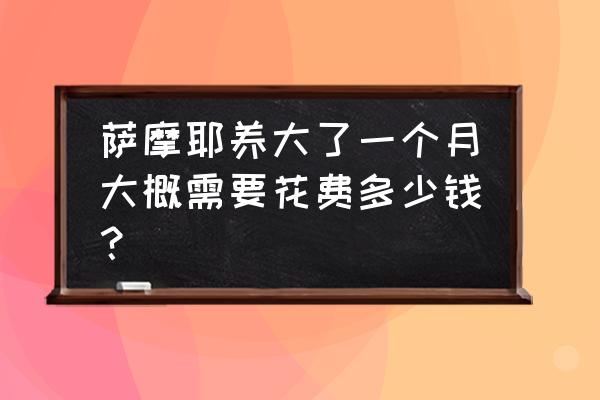 两个多月的萨摩耶大概多少钱 萨摩耶养大了一个月大概需要花费多少钱？