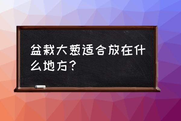 阳台种葱有风水讲究吗 盆栽大葱适合放在什么地方？