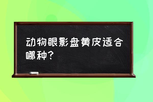 黑色眼影适合什么眼睛的 动物眼影盘黄皮适合哪种？