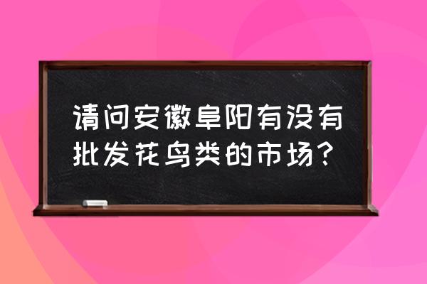 太和县哪里批发花卉盆栽 请问安徽阜阳有没有批发花鸟类的市场？