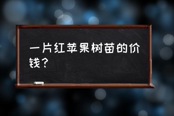 苹果苗批发多少费用 一片红苹果树苗的价钱？