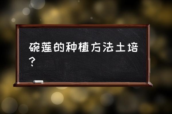 泥土可以养碗莲吗 碗莲的种植方法土培？