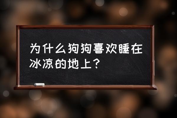 金毛犬为什么喜欢在冷地板睡 为什么狗狗喜欢睡在冰凉的地上？