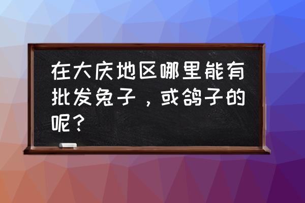 哪里有宠物兔子批发市场 在大庆地区哪里能有批发兔子，或鸽子的呢？