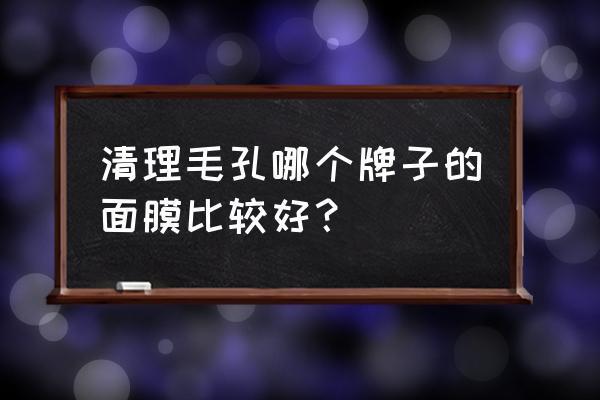 清洗毛孔面膜哪个好 清理毛孔哪个牌子的面膜比较好？