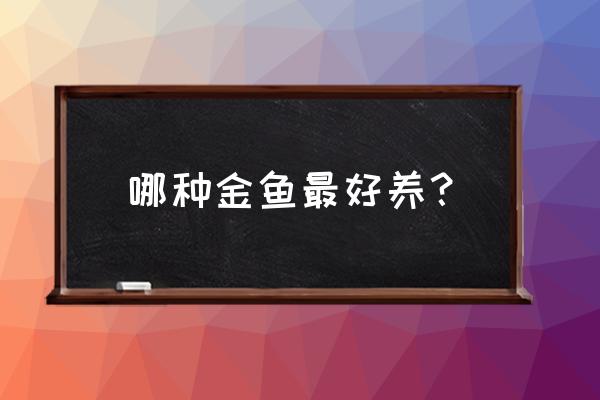 哪个品种金鱼最好养 哪种金鱼最好养？