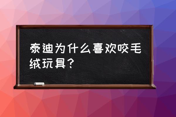 为什么狗喜欢咬住玩具 泰迪为什么喜欢咬毛绒玩具？