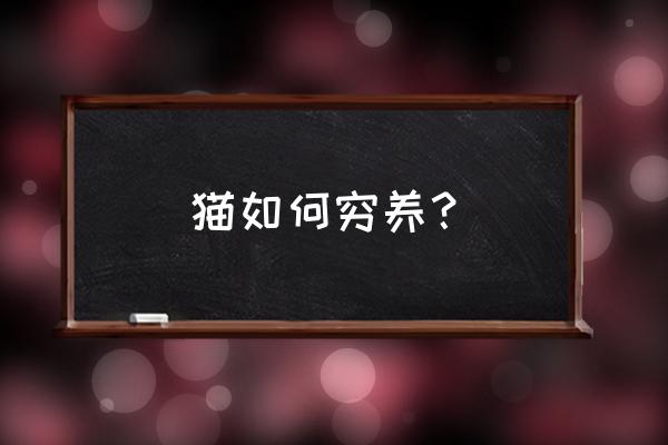 宠物猫怎么养长的快又好看 猫如何穷养？