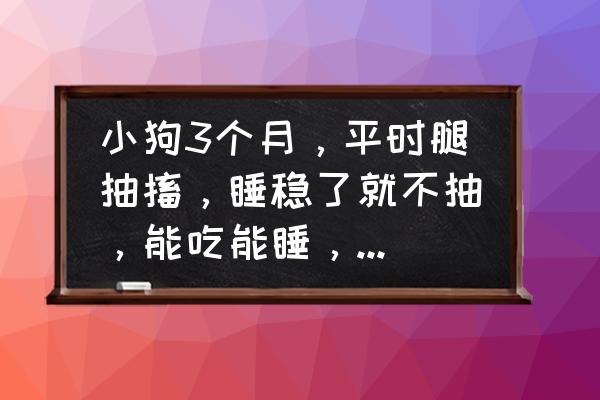 狗狗睡觉不自觉的抽搐 小狗3个月，平时腿抽搐，睡稳了就不抽，能吃能睡，是不是因为我一次喂了两片肠虫清，还是别的问题？