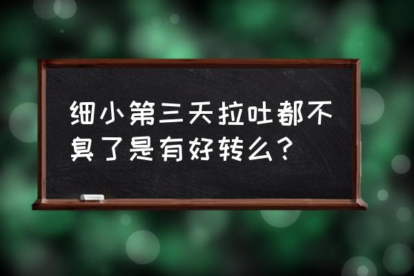 狗狗得细小怎样才是好转反应 细小第三天拉吐都不臭了是有好转么？