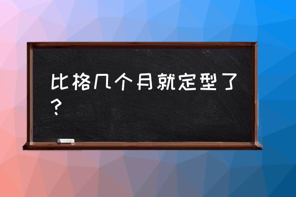 小型狩猎犬排名前十 比格几个月就定型了？