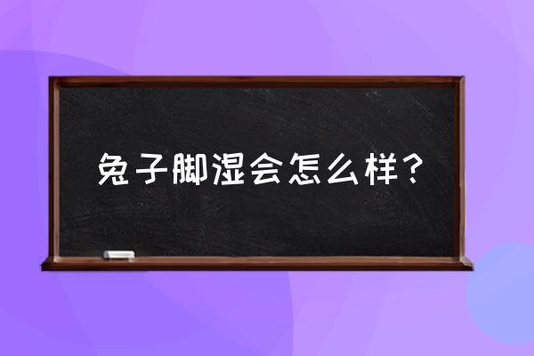 兔子脚底怎么清洗干净 兔子脚湿会怎么样？