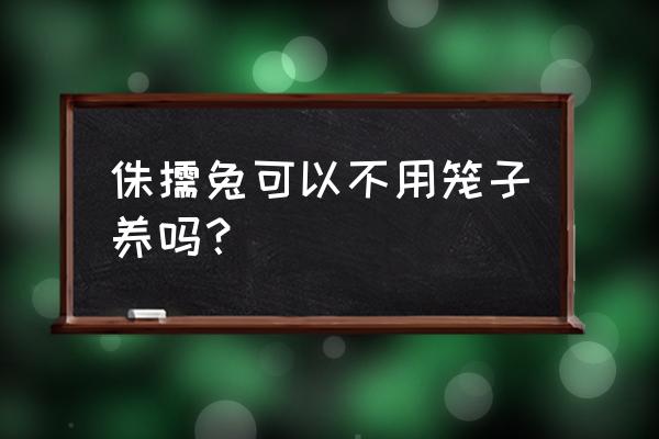 侏儒兔正确的喂养方法 侏儒兔可以不用笼子养吗？