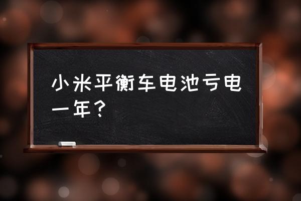 平衡车电池价格 小米平衡车电池亏电一年？