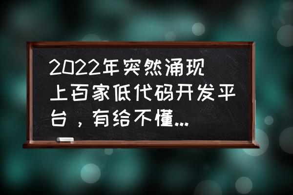 浏览器开发者版本怎么显示答案 2022年突然涌现上百家低代码开发平台，有给不懂编程的人用的吗？