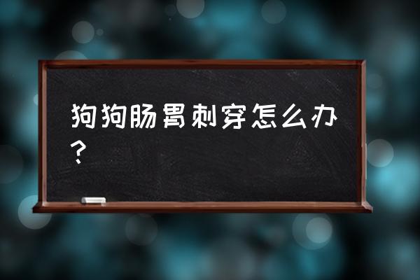 狗狗肠道被骨头划破能自愈吗 狗狗肠胃刺穿怎么办？