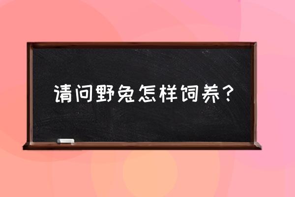 养兔的正确方法和技巧 请问野兔怎样饲养？