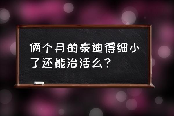 泰迪狗狗得细小怎么治才能治好 俩个月的泰迪得细小了还能治活么？