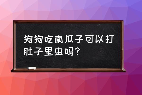 狗狗吃南瓜子能彻底驱虫吗 狗狗吃南瓜子可以打肚子里虫吗？