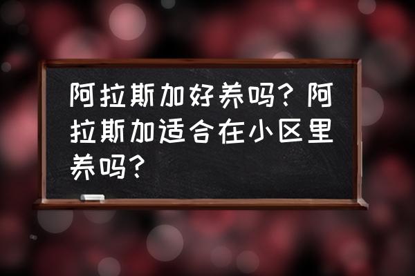 禁养犬在家里不出去可以吗 阿拉斯加好养吗？阿拉斯加适合在小区里养吗？