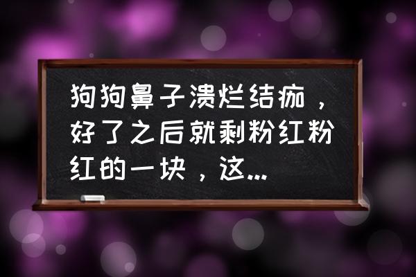 狗狗的鼻子不黑了变红了怎么办 狗狗鼻子溃烂结痂，好了之后就剩粉红粉红的一块，这是怎么了？用什么药？