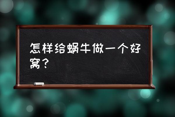 养蜗牛要注意什么地方 怎样给蜗牛做一个好窝？