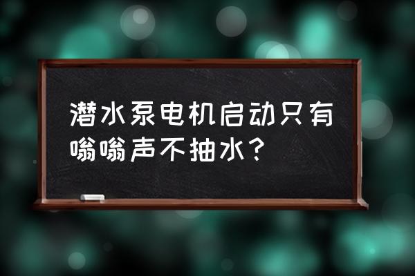 鱼缸潜水泵常见故障处理方案 潜水泵电机启动只有嗡嗡声不抽水？