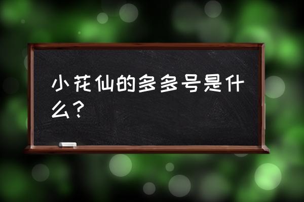 小花仙淘米账号在哪登录 小花仙的多多号是什么？