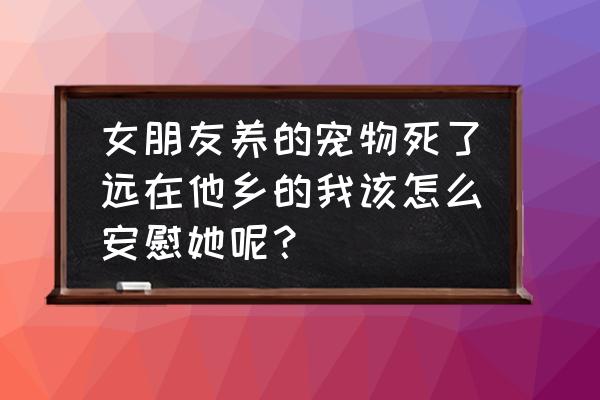 猫被狗咬死了怎么能救活 女朋友养的宠物死了远在他乡的我该怎么安慰她呢？