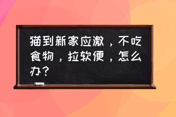 猫咪饭盆陶瓷和玻璃哪个好 猫到新家应激，不吃食物，拉软便，怎么办？