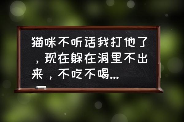 怎么让小猫咪不叫唤安静下来 猫咪不听话我打他了，现在躲在洞里不出来，不吃不喝怎么办？