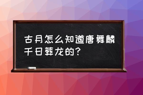 唐舞麟千日葬龙获得躯干骨 古月怎么知道唐舞麟千日葬龙的？