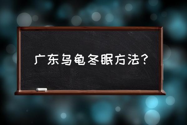 乌龟冬眠了要怎么办要注意什么 广东乌龟冬眠方法？