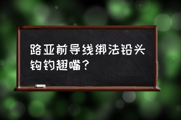 路亚前导线和鱼饵有几种连接方式 路亚前导线绑法铅头钩钓翘嘴？