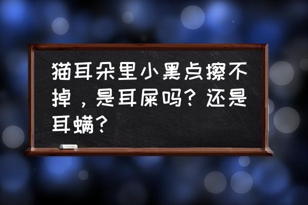 怎么给小猫咪清理眼上的脏东西 猫耳朵里小黑点擦不掉，是耳屎吗？还是耳螨？