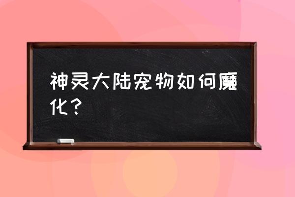 神灵大陆宠物魔化哪个最划算 神灵大陆宠物如何魔化？