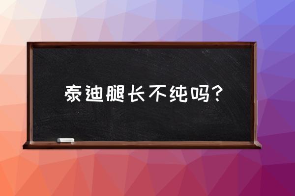 怎么看贵宾犬到底纯不纯 泰迪腿长不纯吗？