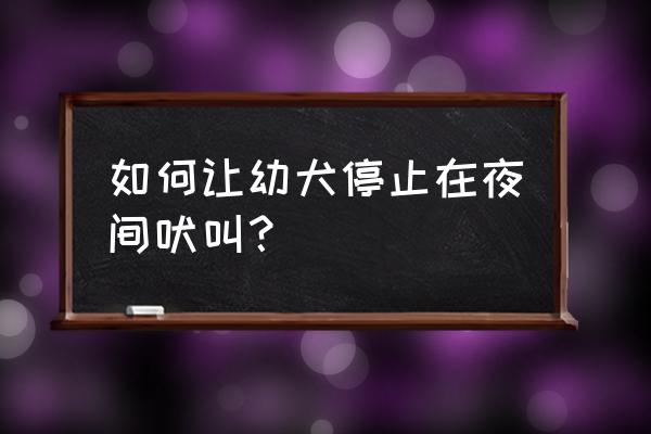 狗狗半夜有动静总是叫怎么办 如何让幼犬停止在夜间吠叫？