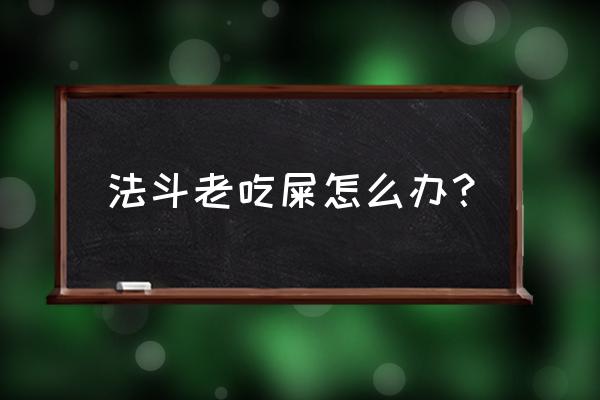 怎么给英国斗牛犬驱虫 法斗老吃屎怎么办？