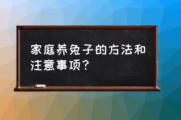 野兔要怎么养才好 家庭养兔子的方法和注意事项？