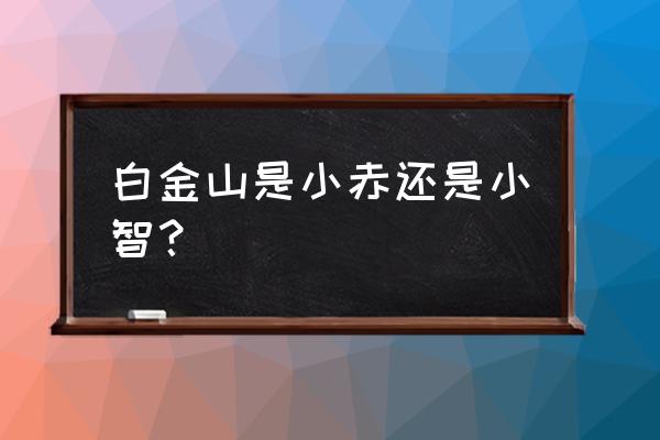 小智夺冠后会换主角吗 白金山是小赤还是小智？