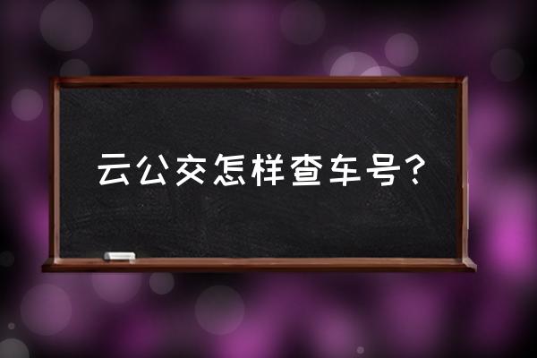 云查车怎么查 云公交怎样查车号？